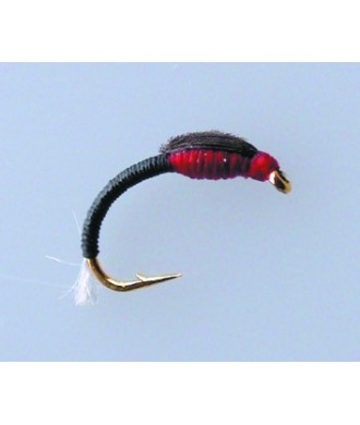 Chironome Devaux NCH05 H14 Par 1