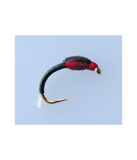 Chironome Devaux NCH05 H14 Par 1