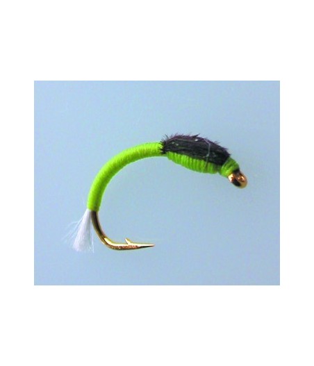 Chironome Devaux NCH06 H14 Par 1