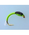 Chironome Devaux NCH06 H14 Par 1