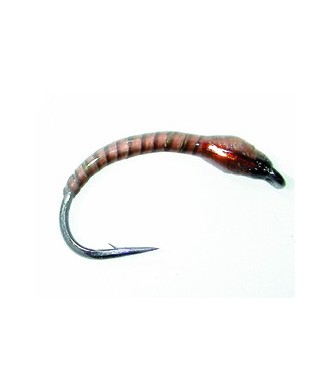 Chironome Devaux LCH31 H14 Par 1