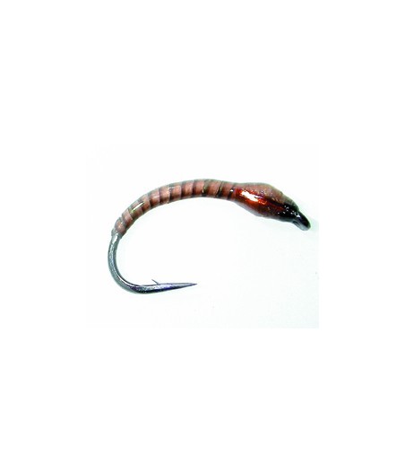 Chironome Devaux LCH31 H14 Par 1
