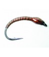 Chironome Devaux LCH31 H14 Par 1