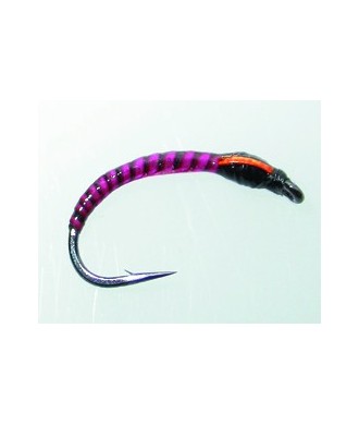 Chironome Devaux LCH32 H14 Par 1
