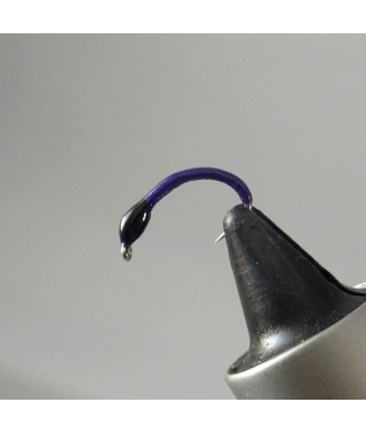 Nymphe corégone Violet tête noire taille 18