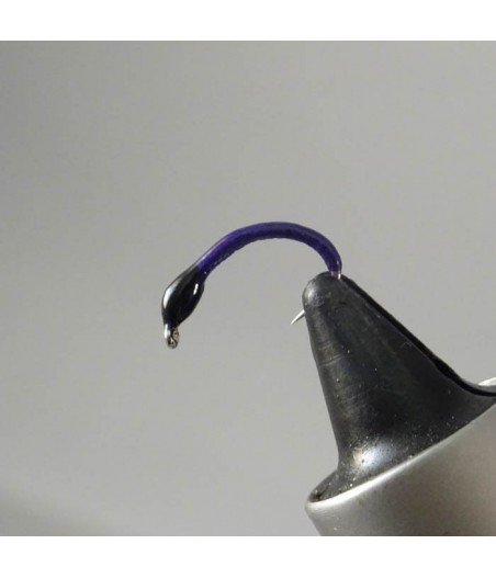 Nymphe corégone Violet tête noire taille 18