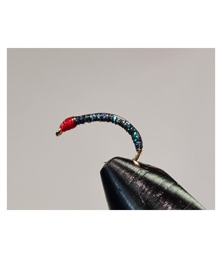 Nymphe corégone vert mer tête Rouge taille 16