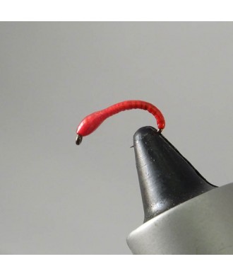 Nymphe corégone Rouge tête Rouge taille 14