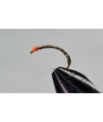 Nymphe corégone Vert doré tête Orange taille 14