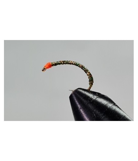 Nymphe corégone Vert doré tête Orange taille 14