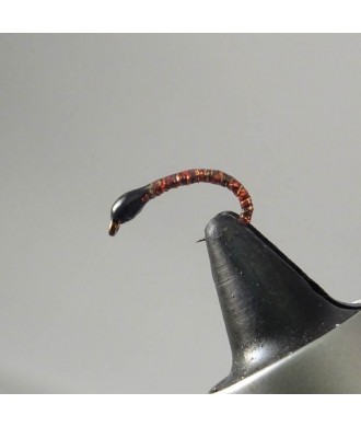 Nymphe corégone marron tête noire taille 18