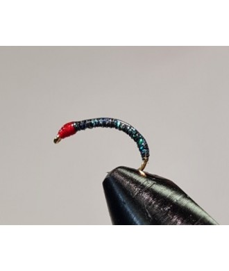 Gambe corégone vert mer tête Rouge taille 14
