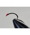 Gambe corégone Noire tête Rouge taille 16