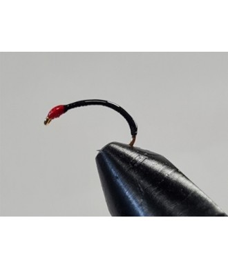 Gambe corégone Noire tête Rouge taille 14