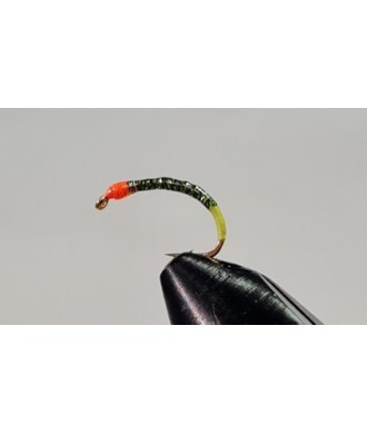 Gambe corégone Vert holo cul jaune tête orange taille 16