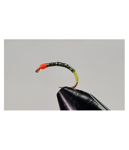 Gambe corégone Vert holo cul jaune tête orange taille 16