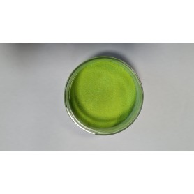 POUDRE OPTIMUM TP Chartreuse UV